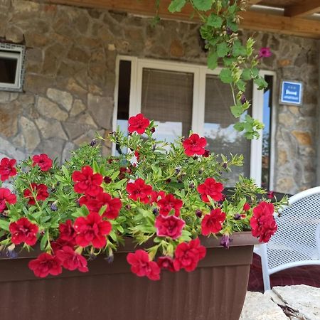 Apartment Mare Babin Dub Plocanski Exterior foto