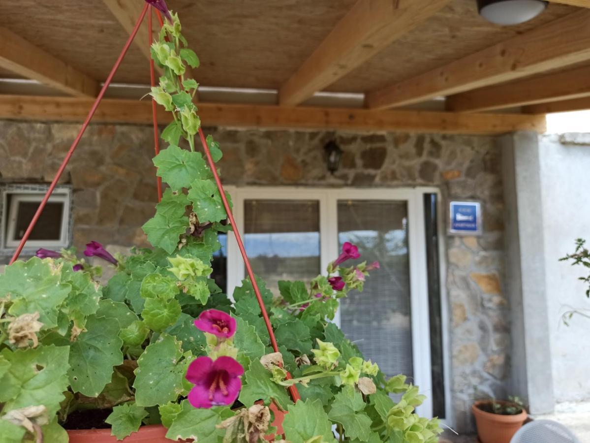 Apartment Mare Babin Dub Plocanski Exterior foto